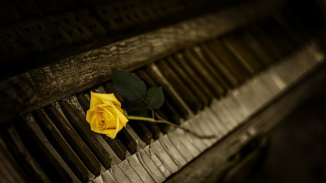 Yellow rose on an old wooden piano.